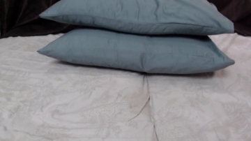 Honeyxander  08-07-2021